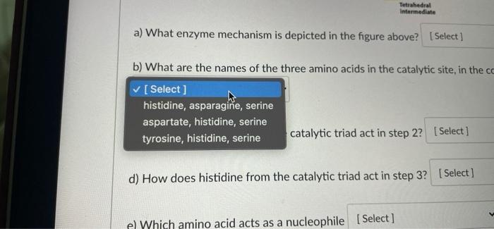 Based On The Diagram Below Answer The Following Questions Organon Hole Tetrahedral Intermediate Jo Lo Oryanion Hole 97 5