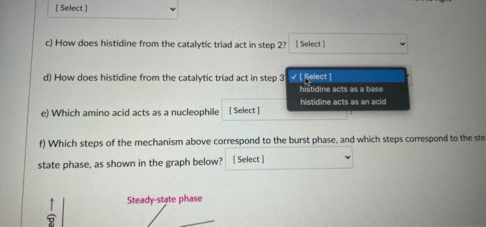 Based On The Diagram Below Answer The Following Questions Organon Hole Tetrahedral Intermediate Jo Lo Oryanion Hole 97 7