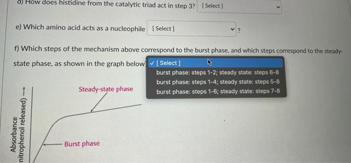 Based On The Diagram Below Answer The Following Questions Organon Hole Tetrahedral Intermediate Jo Lo Oryanion Hole 97 9