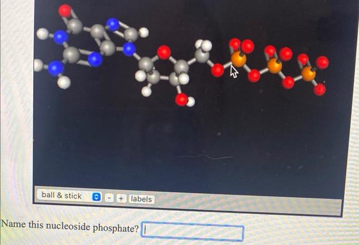 Ball Stick Labels Name This Nucleoside Phosphate 2