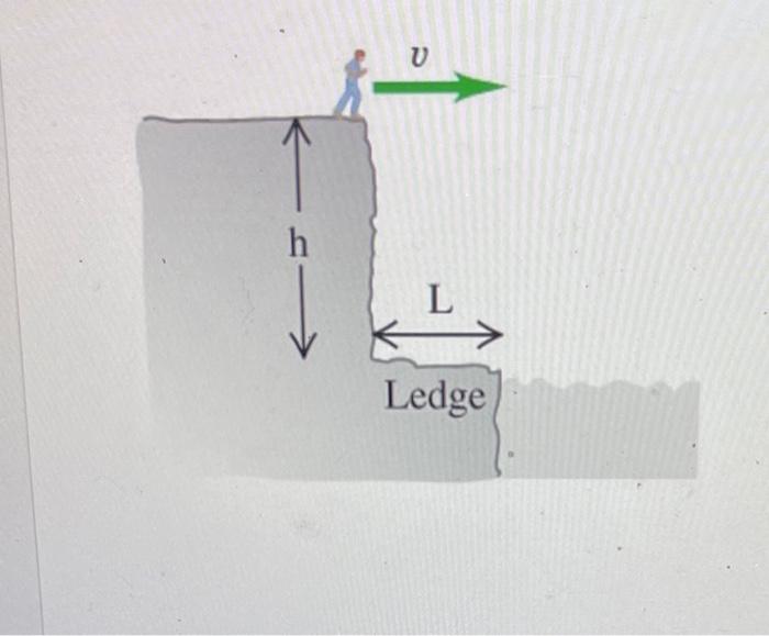 A Daring 51kg Swimmer Dives Off A Cliff With A Running Horizontal Leap What Must Her Minimum Speed Be Just As She Leaves 1