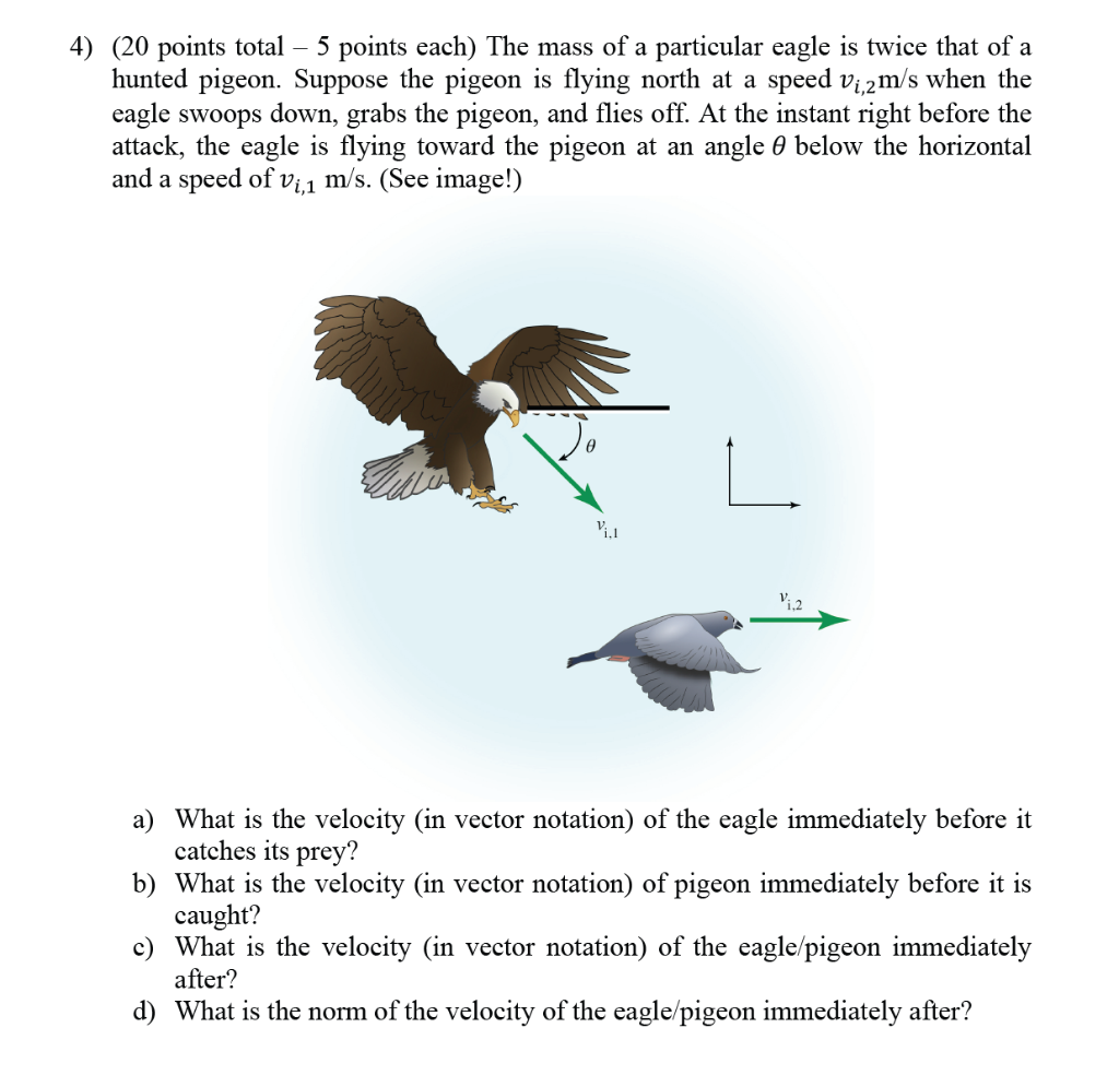4 20 Points Total 5 Points Each The Mass Of A Particular Eagle Is Twice That Of A Hunted Pigeon Suppose The Pigeon 1