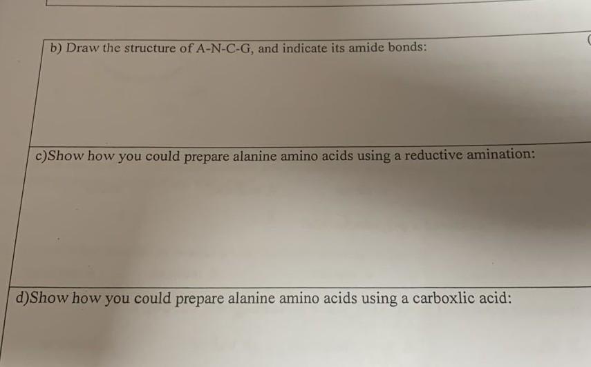 B Draw The Structure Of A N C G And Indicate Its Amide Bonds C Show How You Could Prepare Alanine Amino Acids Using A 1