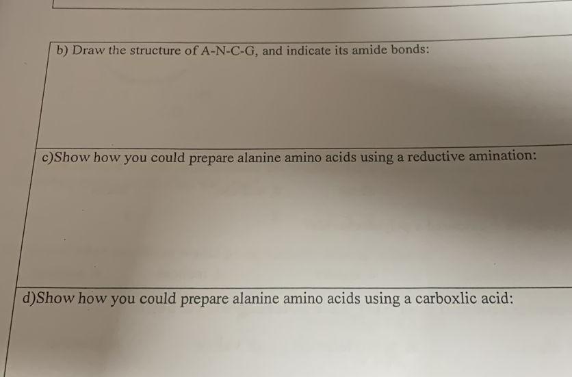 B Draw The Structure Of A N C G And Indicate Its Amide Bonds C Show How You Could Prepare Alanine Amino Acids Using A 1