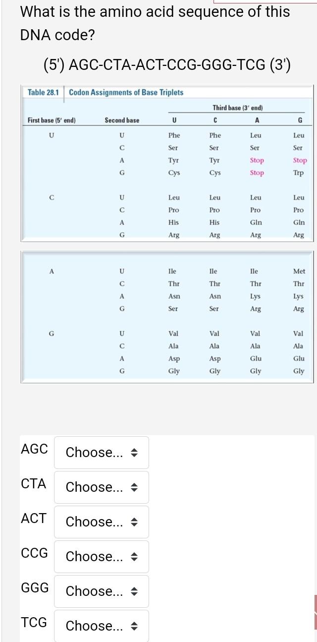 What Is The Amino Acid Sequence Of This Dna Code 5 Agc Cta Act Ccg Ggg Tcg 3 Table 28 1 Codon Assignments Of Base 1