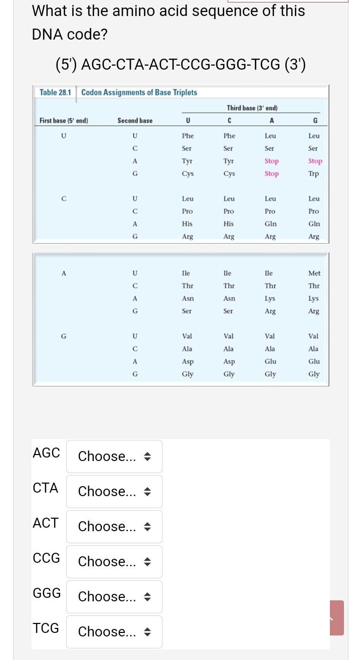 What Is The Amino Acid Sequence Of This Dna Code 5 Agc Cta Act Ccg Ggg Tcg 3 Table 28 1 Codon Assignments Of Base 1