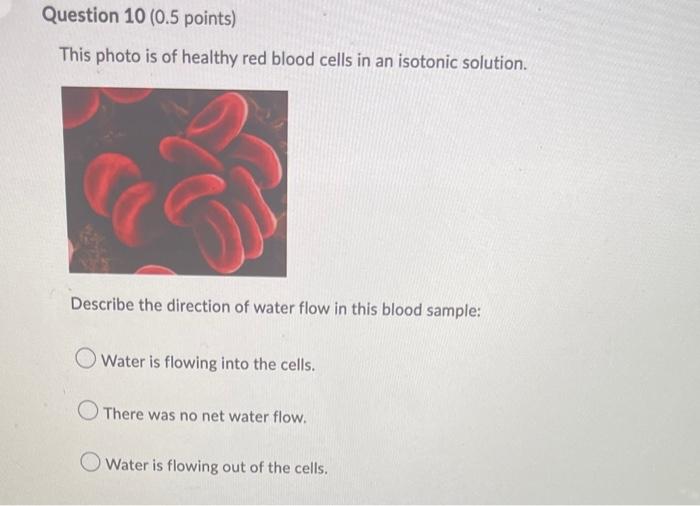 Question 1 0 5 Points Saved Benedicts Test Is Used To Test For The Presence Of Glucose Olodine Starch Silver Chlo 5