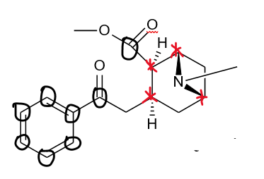 Please Assign R And S Configurations To 4 Starred Chiral Centres 1