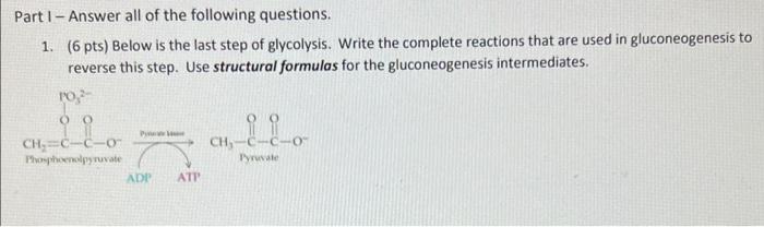 Part 1 Answer All Of The Following Questions 1 6 Pts Below Is The Last Step Of Glycolysis Write The Complete Reac 1
