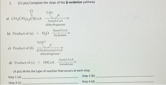 12 Pts Complete The Steps Of The B Oxidation Pathway Fad Acetyl Coa Dehydrogenase Enoyl Coa Hydratase 2 A Ch Ch 1 1