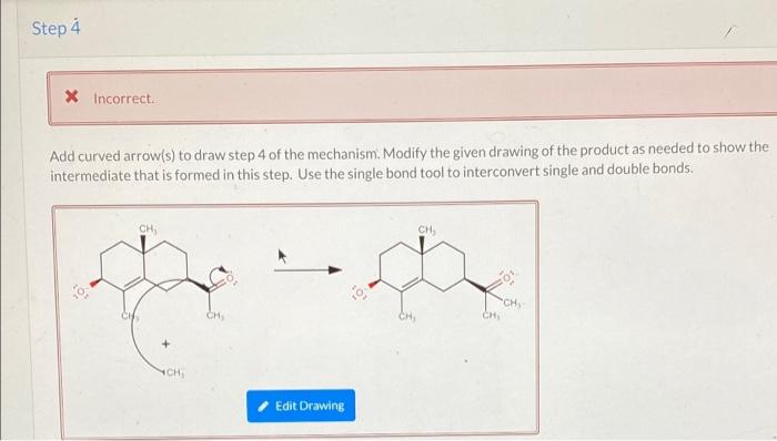 Extracts From The Flowering Plants Of Asteraceae Have Been Used To Produce Medicine Rubber And Pesticides Carisso 2