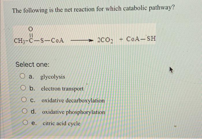 The Following Is The Net Reaction For Which Catabolic Pathway O 11 Ch3 C S Coa 200 Coa Sh Select One O A Glycolysi 1