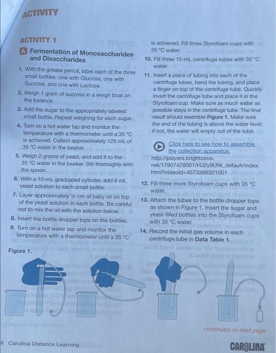 Activity Disposal And Cleanup 1 Dismantle And Clean The Setup Dispose Of The Contents In The Sink With The Water Runni 2
