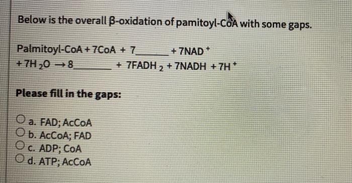 Below Is The Overall B Oxidation Of Pamitoyl Coa With Some Gaps Palmitoyl Coa 7coa 7 7nad 7h 0 8 7fadh 7nad 1