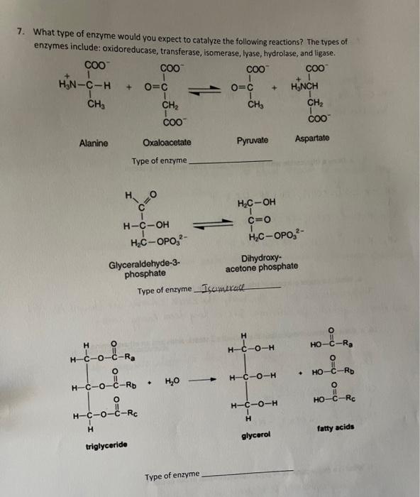 7 What Type Of Enzyme Would You Expect To Catalyze The Following Reactions The Types Of Enzymes Include Oxidoreducase 1