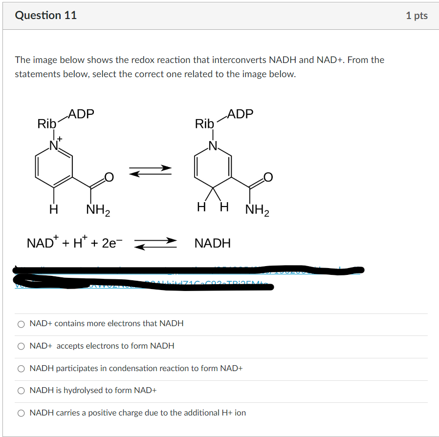 Question 11 The Image Below Shows The Redox Reaction That Interconverts Nadh And Nad From The Statements Below Selec 1
