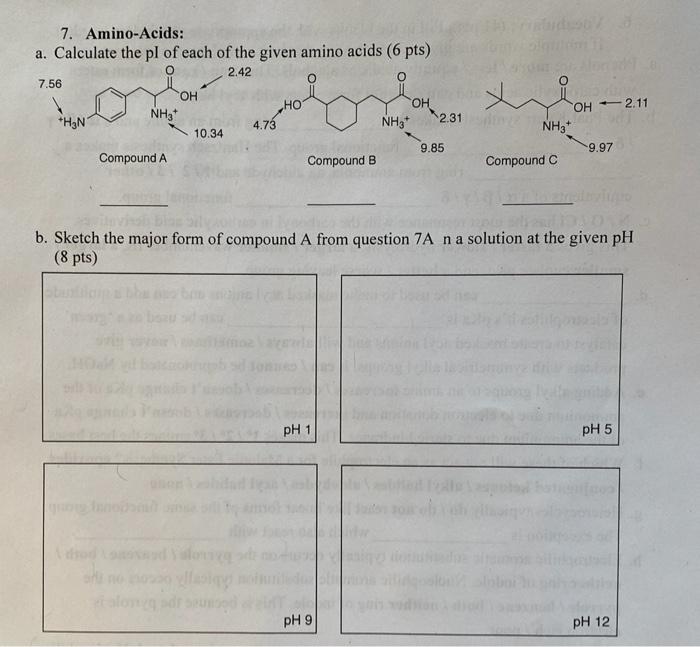 7 Amino Acids A Calculate The Pl Of Each Of The Given Amino Acids 6 Pts 2 42 7 56 Oh O Hot Oh Nh3 Oh 2 11 4 73 10 1