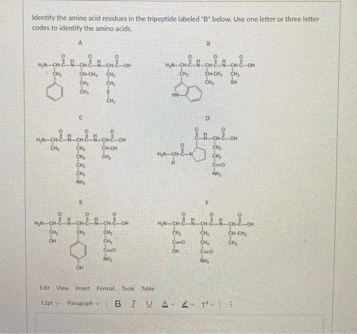 Identify The Amino Acid Residues In The Tripeptide Labeled B Below Use One Letter Or Three Letter Codes To Identify T 1