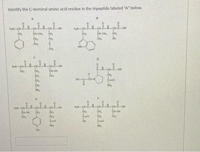 Identify The C Terminal Amino Acid Residue In The Tripeptide Labeled A Below B H N Ch Ch Ch Ch Ch Ch Cm Ch Ch 1