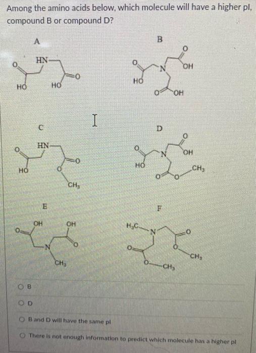 Among The Amino Acids Below Which Molecule Will Have A Higher Pl Compound B Or Compound D A B Oh 0 Ho Hn Ob Od C Hn 1