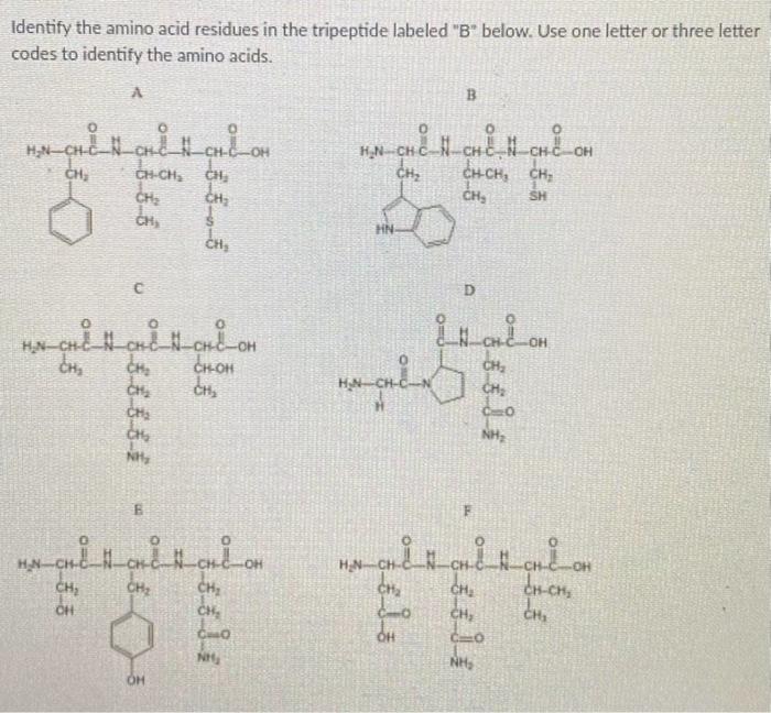 Identify The Amino Acid Residues In The Tripeptide Labeled B Below Use One Letter Or Three Letter Codes To Identify T 1