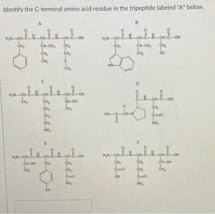Identify The C Terminal Amino Acid Residue In The Tripeptide Labeled A Below B Altalval Inaition H N Ch Ch Ch Ch 1
