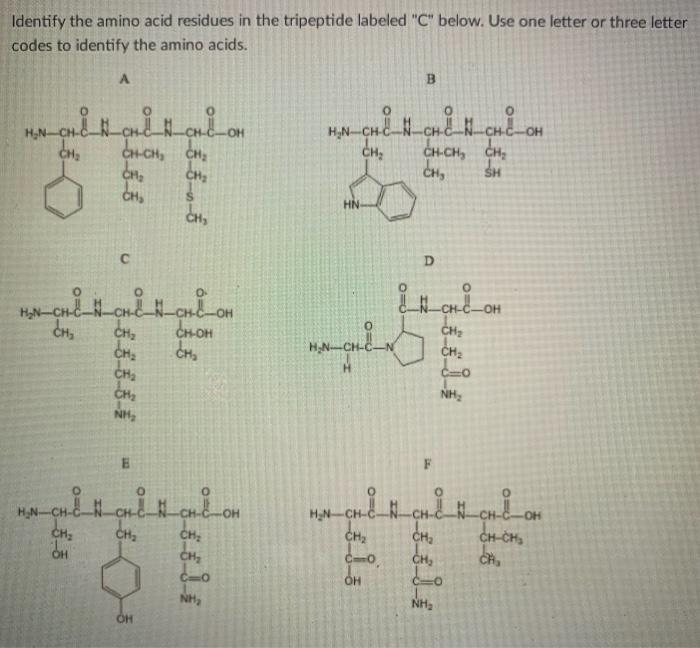 Identify The Amino Acid Residues In The Tripeptide Labeled C Below Use One Letter Or Three Letter Codes To Identify T 1