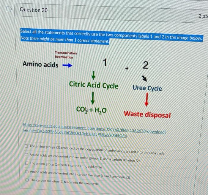 2 Pts Question 30 Select All The Statements That Correctly Use The Two Components Labels 1 And 2 In The Image Below Not 1