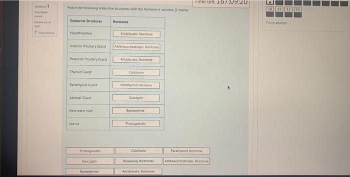 W Marted Match The Following Endocrine Structures With The Hormone It Secretes 2 Marks Endocrine Structures Hormones 1