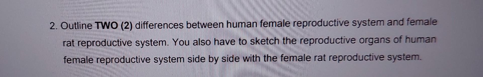 2 Outline Two 2 Differences Between Human Female Reproductive System And Female Rat Reproductive System You Also Hav 1