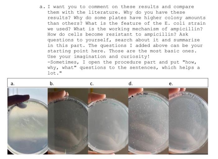 A A I Want You To Comment On These Results And Compare Them With The Literature Why Do You Have These Results Why Do 1