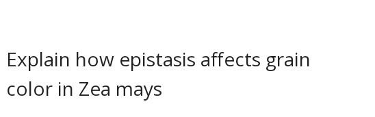 Explain How Epistasis Affects Grain Color In Zea Mays 1