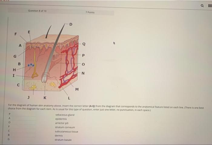 Question 9 Of 10 Filemey Wer Lije Particule Wyra T I E Explain The Disease Process Illustrated Above Including An Expla 2