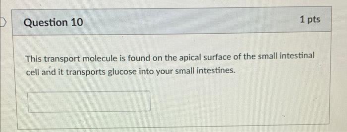 1 Pts Question 10 This Transport Molecule Is Found On The Apical Surface Of The Small Intestinal Cell And It Transports 1
