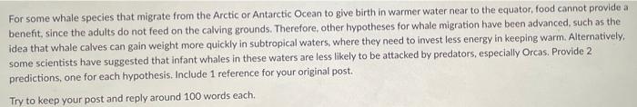 For Some Whale Species That Migrate From The Arctic Or Antarctic Ocean To Give Birth In Warmer Water Near To The Equator 1