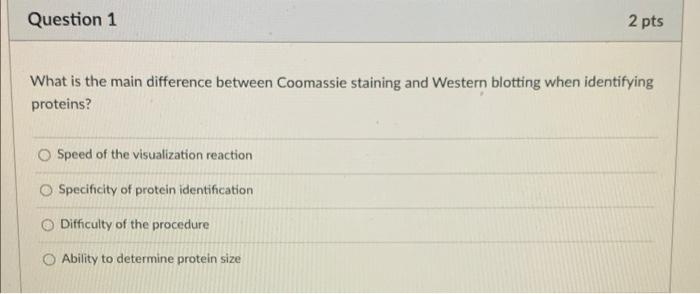 Question 1 2 Pts What Is The Main Difference Between Coomassie Staining And Western Blotting When Identifying Proteins 1