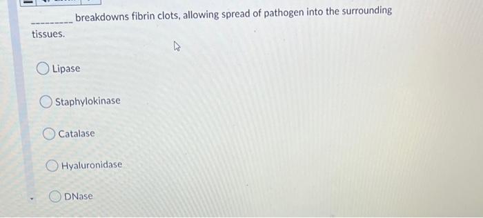 Breakdowns Fibrin Clots Allowing Spread Of Pathogen Into The Surrounding Lipase Staphylokinase Catalase Hyaluronidase D 1