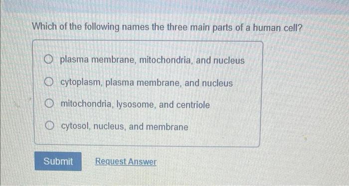 Which Of The Following Names The Three Main Parts Of A Human Cell Plasma Membrane Mitochondria And Nucleus Cytoplasm 1