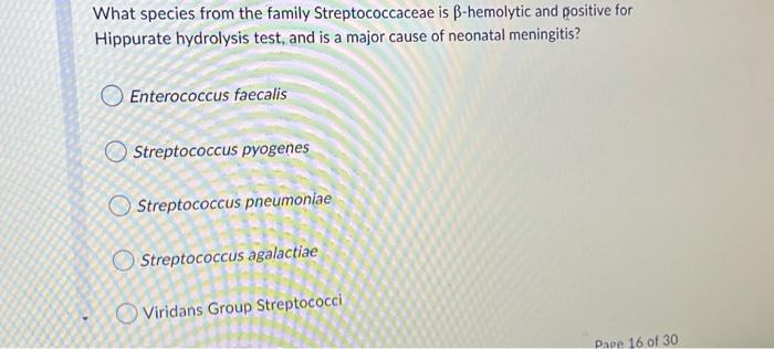 What Species From The Family Streptococcaceae Is Ss Hemolytic And Positive For Hippurate Hydrolysis Test And Is A Major 1