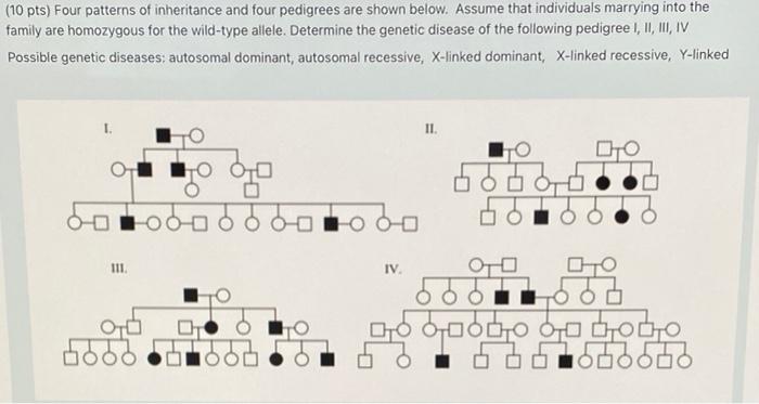 10 Pts Four Patterns Of Inheritance And Four Pedigrees Are Shown Below Assume That Individuals Marrying Into The Fami 1