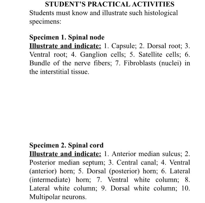 Student S Practical Activities Students Must Know And Illustrate Such Histological Specimens Specimen 1 Spinal Node Il 1