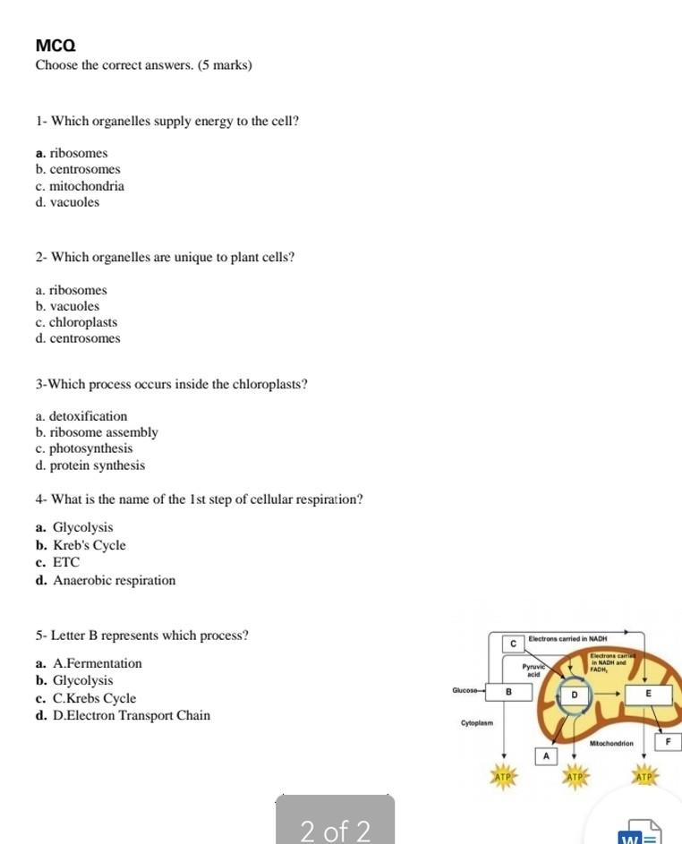 Mcq Choose The Correct Answers 5 Marks 1 Which Organelles Supply Energy To The Cell A Ribosomes B Centrosomes C 1