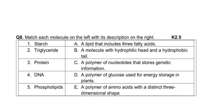 Q8 Match Each Molecule On The Left With Its Description On The Right K2 5 1 Starch A A Lipid That Includes Three Fat 1
