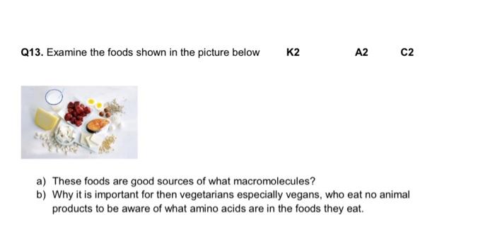 Q13 Examine The Foods Shown In The Picture Below K2 A2 C2 A These Foods Are Good Sources Of What Macromolecules B Wh 1