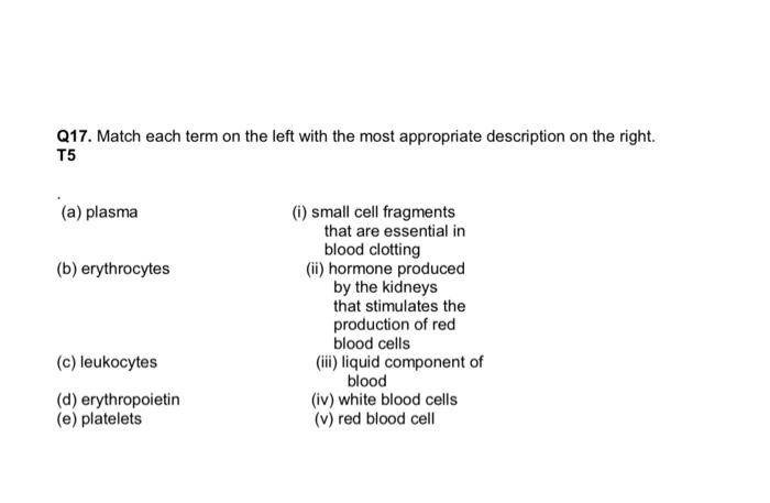 Q17 Match Each Term On The Left With The Most Appropriate Description On The Right T5 A Plasma I Small Cell Fragme 1