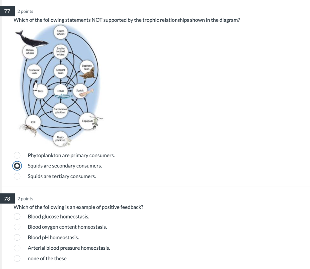 77 2 Points Which Of The Following Statements Not Supported By The Trophic Relationships Shown In The Diagram Sperm Wha 1