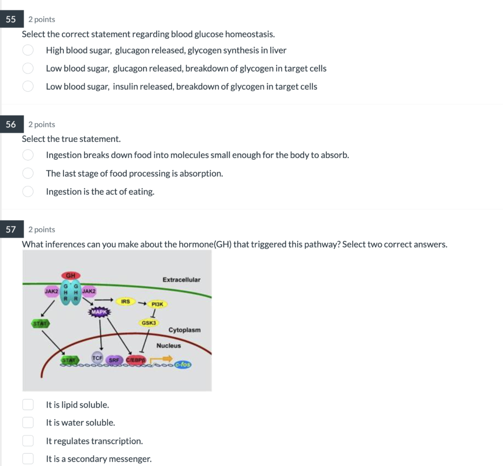 51 2 Points 0000 S Vaccination Induces The Primary Secondary Innate Adaptive The Pancreas Is Responsible For Secreting 2