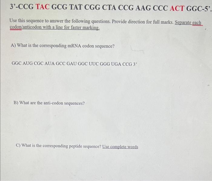 3 Ccg Tac Gcg Tat Cgg Cta Ccg Aag Ccc Act Ggc 5 Use This Sequence To Answer The Following Questions Provide Directio 1