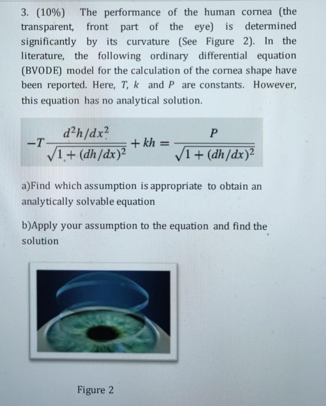 3 10 The Performance Of The Human Cornea The Transparent Front Part Of The Eye Is Determined Significantly By Its 1