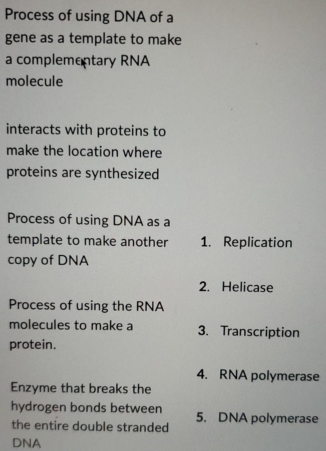 Process Of Using Dna Of A Gene As A Template To Make A Complementary Rna Molecule Interacts With Proteins To Make The Lo 1